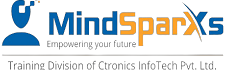 MindSparxs Logo